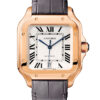 Cartier Santos WGSA0019