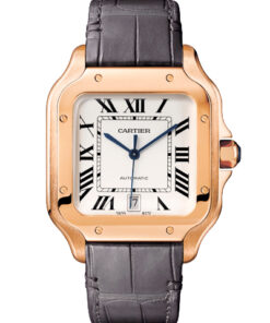 Cartier Santos WGSA0019