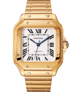 Cartier Santos WGSA0030