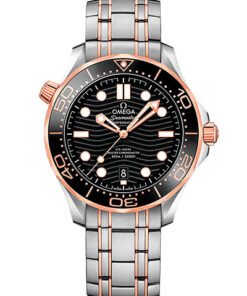 Omega Seamaster Diver 300M 210.20.42.20.01.001