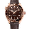 Omega Seamaster Planet Ocean 600M 215.63.40.20.13.001