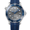 Omega Seamaster Diver 300M 210.32.42.20.06.001