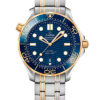 Omega Seamaster Diver 300M 210.20.42.20.03.001