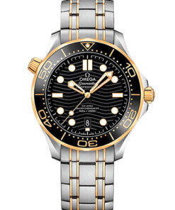 Omega Seamaster Diver 300M 210.20.42.20.01.002