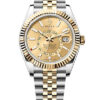 Rolex Sky-Dweller 336933-0002