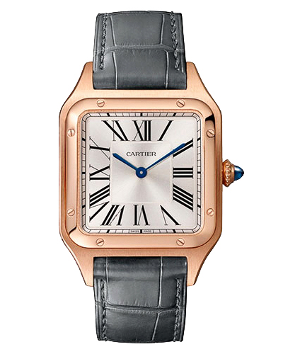 Cartier Santos-Dumont WGSA0021 1 Cartier Santos-Dumont WGSA0021