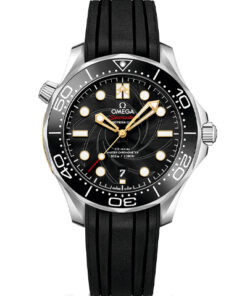 Omega Seamaster Diver 300M 210.22.42.20.01.004