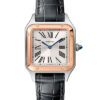 Cartier Santos-Dumont W2SA0012