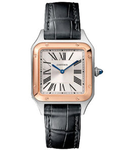Cartier Santos-Dumont W2SA0012