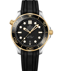 Omega Seamaster Diver 300M 210.22.42.20.01.001
