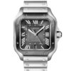 Cartier Santos WSSA0037