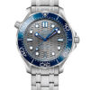 Omega Seamaster Diver 300M 210.30.42.20.06.001