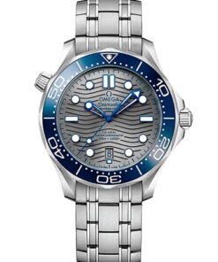 Omega Seamaster Diver 300M 210.30.42.20.06.001