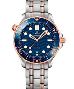 Omega Seamaster Diver 300M 210.20.42.20.03.002