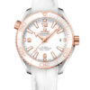 Omega Seamaster Planet Ocean 600M 215.23.40.20.04.001