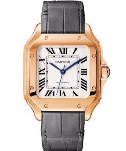 Cartier Santos WGSA0028