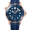 Omega Seamaster Diver 300M 210.62.42.20.03.001