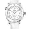 Omega Seamaster Planet Ocean 600M 215.33.40.20.04.001