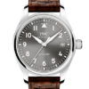IWC Pilot’s Watch IW324001