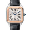 Cartier Santos-Dumont W2SA0011