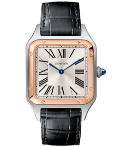 Cartier Santos-Dumont W2SA0011