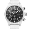 IWC Pilot’s Watch Chronograph Lake Tahoe IW389105