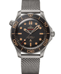Omega Seamaster Diver 300M James Bond 210.90.42.20.01.001