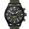IWC Pilot’s Watch Chronograph Royal Maces IW389107