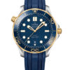 Omega Seamaster Diver 300M 210.22.42.20.03.001