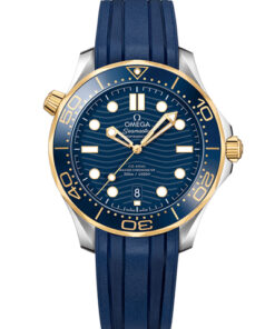 Omega Seamaster Diver 300M 210.22.42.20.03.001