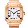 Cartier Santos WGSA0031