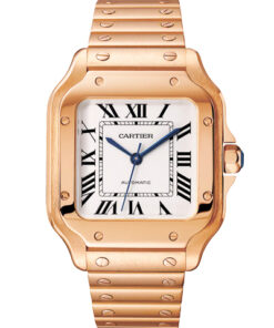 Cartier Santos WGSA0031