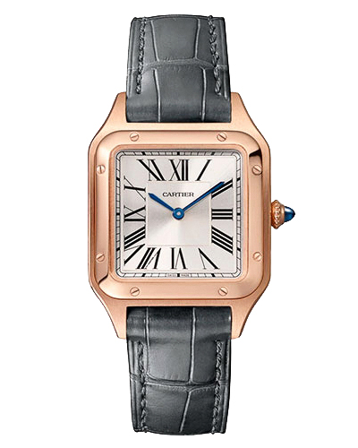 Replica Cartier Santos-Dumont WGSA0022 Replica Cartier Santos-Dumont WGSA0022