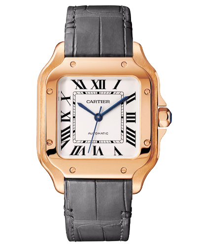 Replica Cartier Santos WGSA0028 Replica Cartier Santos WGSA0028
