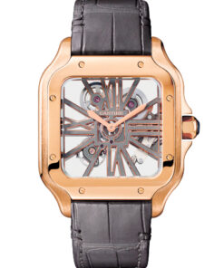 Cartier Santos WHSA0018