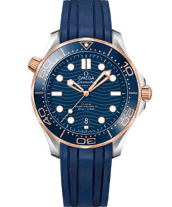Omega Seamaster Diver 300M 210.22.42.20.03.002