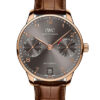 IWC Portugieser Power Reserve IW500702